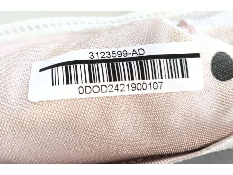 Recambio de airbag cortina delantero derecho para skoda octavia iv (nx3, nn3, pv3) 2.0 tdi referencia OEM IAM   