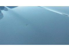 Recambio de capot delantero para bmw x3 (e83) 2.5 i referencia OEM IAM    2