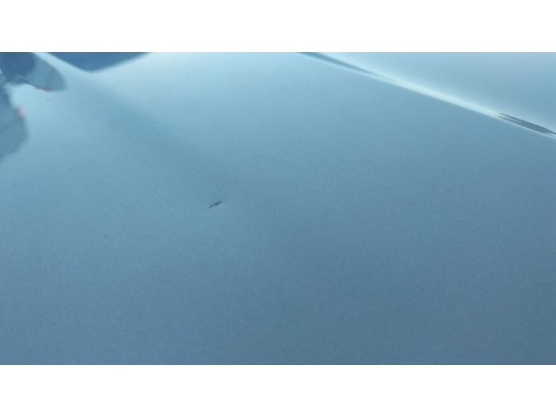 Recambio de capot delantero para bmw x3 (e83) 2.5 i referencia OEM IAM   