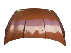 Recambio de capot para ford ka+ iii (uk, fk) 1.2 ti-vct referencia OEM IAM   