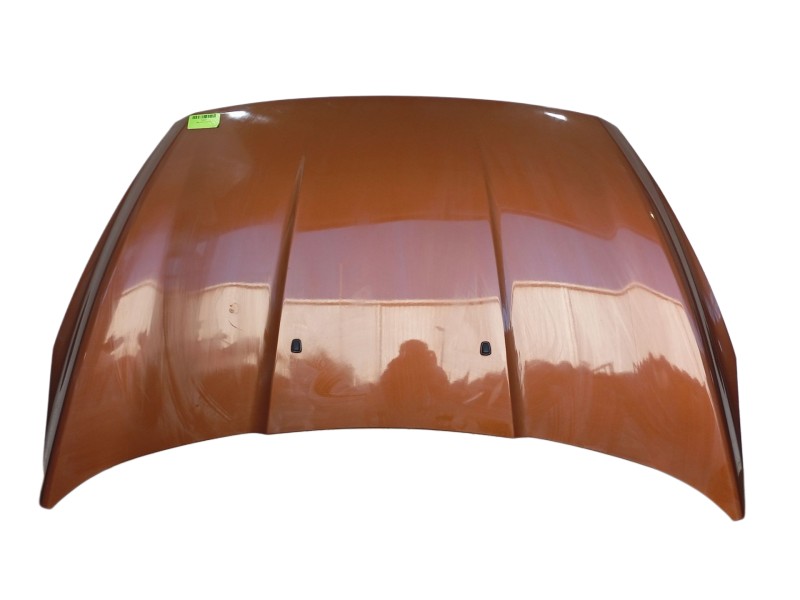 Recambio de capot para ford ka+ iii (uk, fk) 1.2 ti-vct referencia OEM IAM   