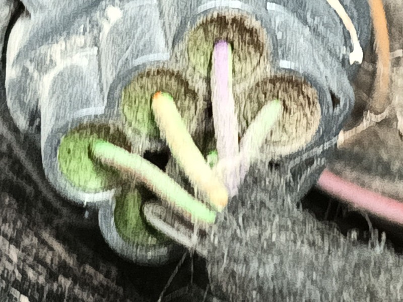 Recambio de piloto trasero derecho para ford focus iii 1.6 ti referencia OEM IAM 1825318  