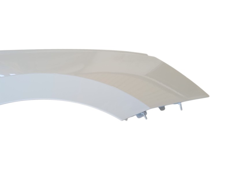 Recambio de aleta delantera derecha para skoda octavia iv (nx3, nn3, pv3) 2.0 tdi referencia OEM IAM   