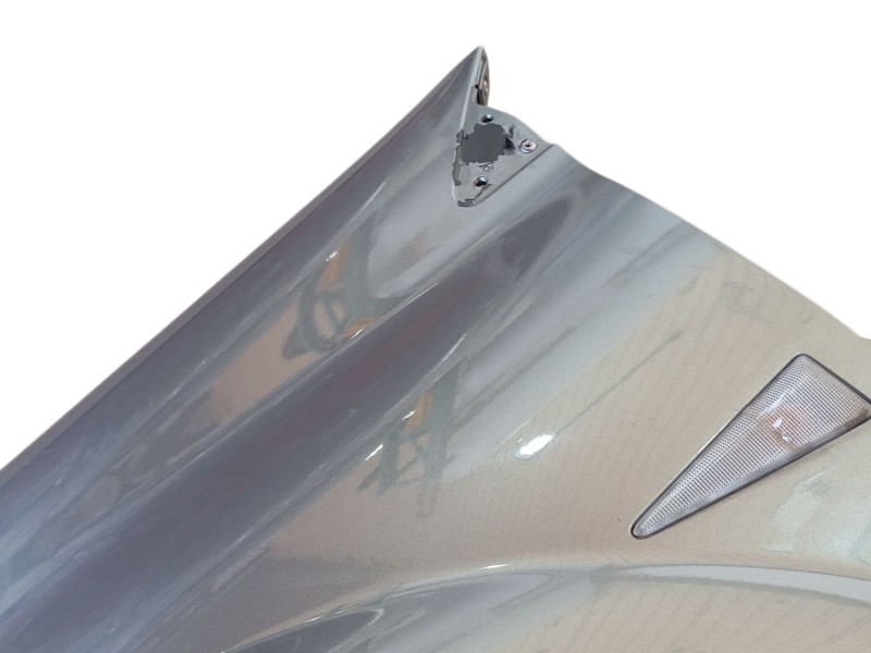 Recambio de aleta delantera izquierda para renault megane ii (bm0/1_, cm0/1_) 1.4 16v (bm0b, cm0b) referencia OEM IAM 7701477186