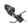 Recambio de amortiguador delantero derecho para nissan qashqai (j10) visia referencia OEM IAM 824903007720 E4302BR00B 54302BR00B