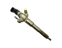 INYECTOR 166093282R 166000372R 
