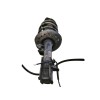 Recambio de amortiguador delantero derecho para nissan qashqai (j10) visia referencia OEM IAM 824903007720 E4302BR00B 54302BR00B