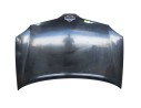 CAPOT DELANTERO 651004U130 