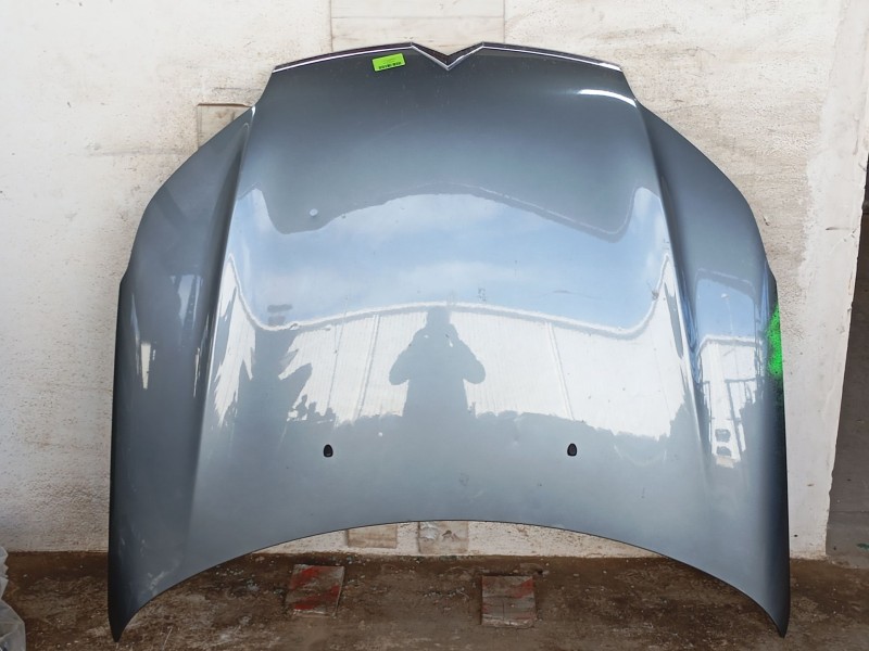 Recambio de capot delantero para citroën c5 iii (rd_) 1.6 hdi 110 referencia OEM IAM 7901P3  
