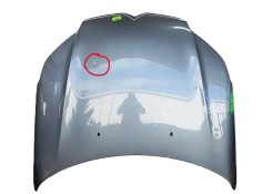 Recambio de capot delantero para citroën c5 iii (rd_) 1.6 hdi 110 referencia OEM IAM 7901P3  