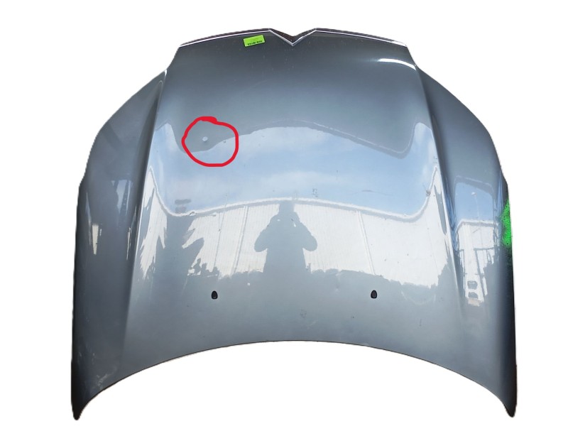 Recambio de capot delantero para citroën c5 iii (rd_) 1.6 hdi 110 referencia OEM IAM 7901P3  