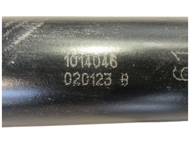 Recambio de amortiguador trasero izquierdo para ford tourneo custom v362 autobús (f3) 2.0 ecoblue referencia OEM IAM   