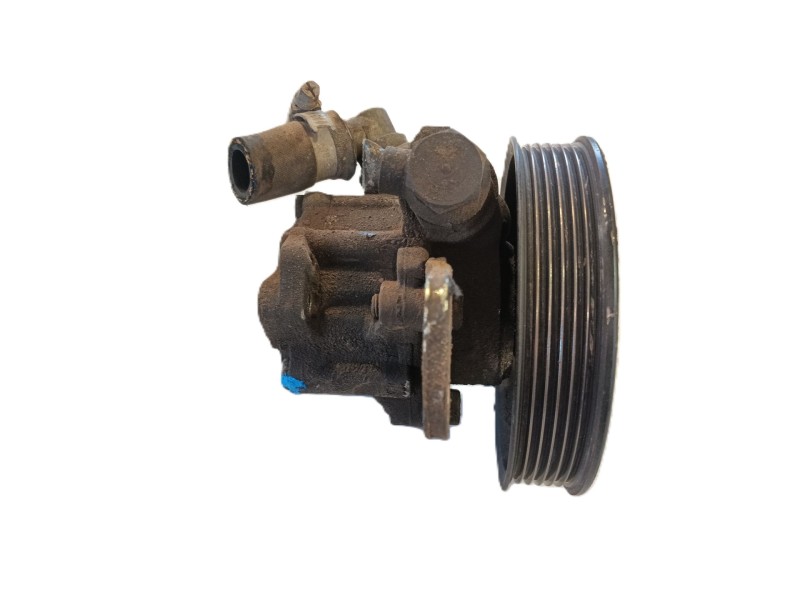 Recambio de bomba direccion para nissan cabstar e (tl_, vl_) 125.35, 125.45 (tl0, vl0) referencia OEM IAM   