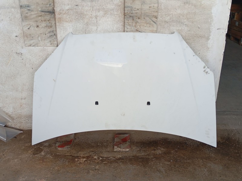 Recambio de capot delantero para fiat doblo furgoneta/monovolumen (223_) 1.3 d multijet referencia OEM IAM 0000046743226  