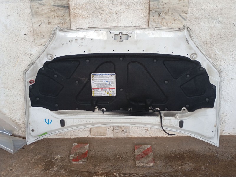 Recambio de capot delantero para fiat doblo furgoneta/monovolumen (223_) 1.3 d multijet referencia OEM IAM 0000046743226  