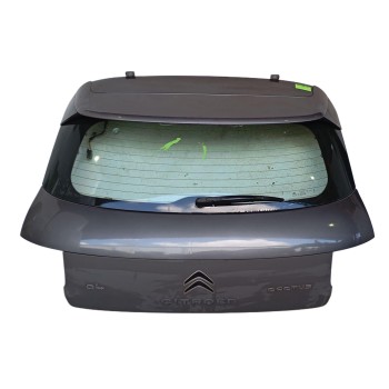 PORTON TRASERO 9800805380 