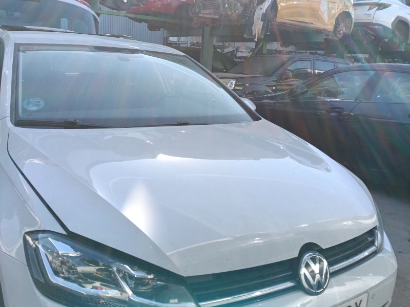 Recambio de capot delantero para volkswagen golf vii variant (ba5, bv5) 1.6 tdi referencia OEM IAM   
