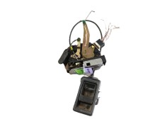 Recambio de cerradura maletero / porton para land rover discovery ii (l318) 2.5 td5 4x4 referencia OEM IAM   