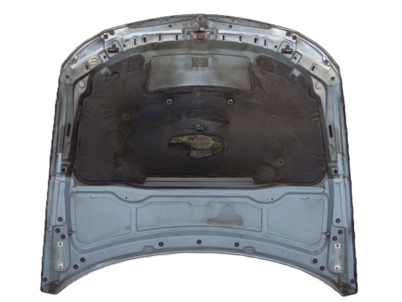 Recambio de capot delantero para bmw 3 (e90) 320 d referencia OEM IAM 41617140729  