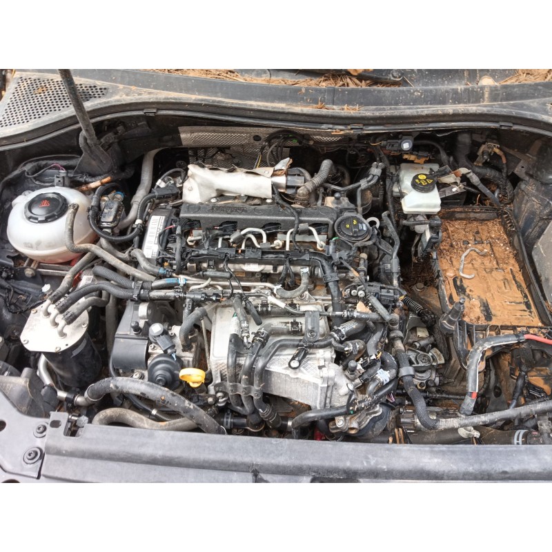 VOLKSWAGEN TIGUAN (AD1, AX1)