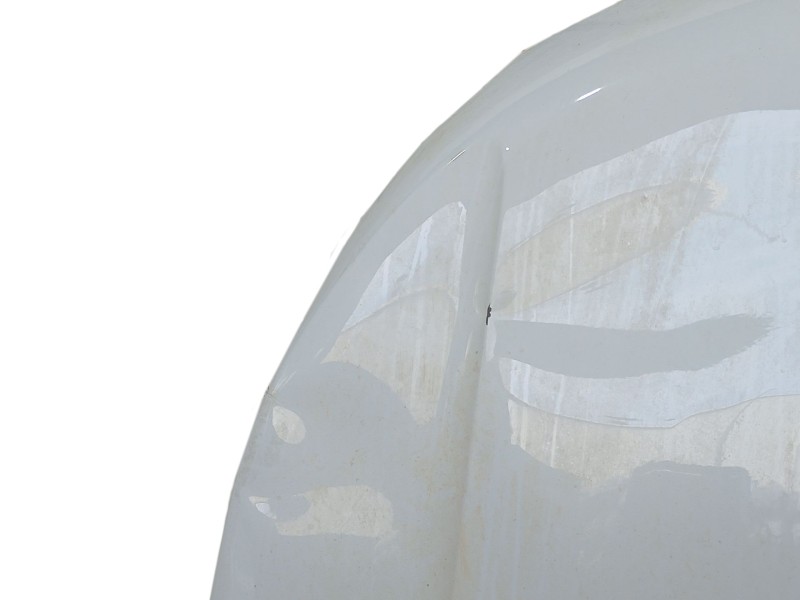 Recambio de capot para renault express furgoneta/monovolumen 1.5 blue dci 75 (f6aa) referencia OEM IAM 651007238R  