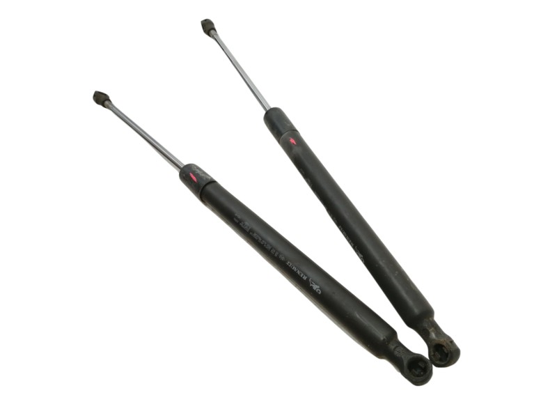 Recambio de amortiguadores maletero / porton para renault clio iii authentique referencia OEM IAM 8200299546  