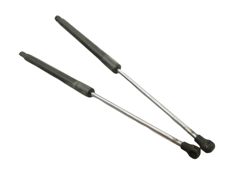 Recambio de amortiguadores maletero / porton para renault clio iii authentique referencia OEM IAM 8200299546  