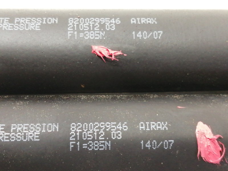 Recambio de amortiguadores maletero / porton para renault clio iii authentique referencia OEM IAM 8200299546  