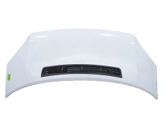 Recambio de capot delantero para ford transit furgoneta (fa_ _) 2.2 tdci referencia OEM IAM 2454107  