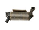 INTERCOOLER 2524812 L1BG6D624AB 