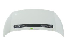 Recambio de capot para citroën jumpy ii furgoneta 2.0 hdi 120 referencia OEM IAM   