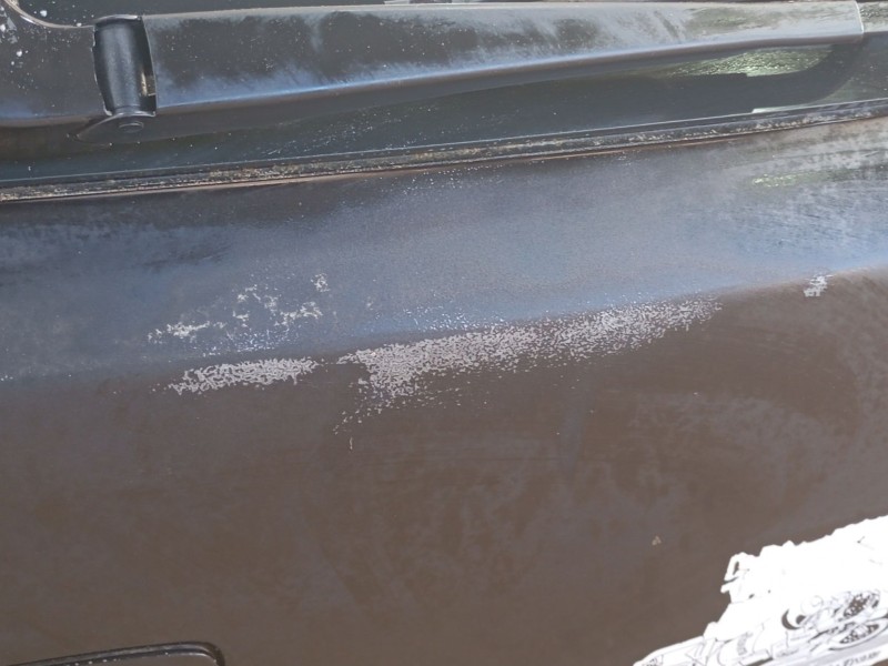 Recambio de porton trasero para seat leon (1m1) 1.6 16 v referencia OEM IAM 1M6827025H  