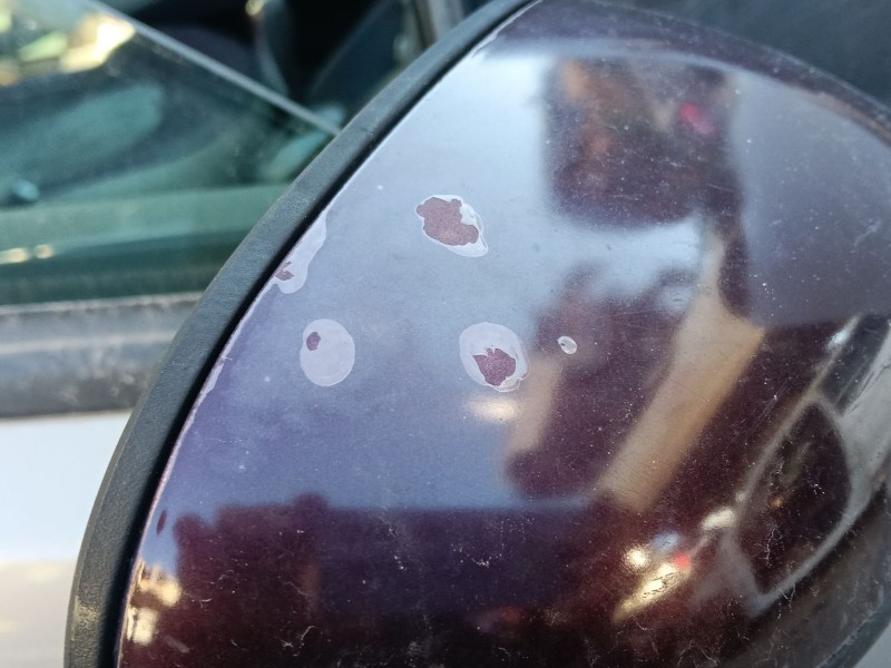 Recambio de espejo retrovisor derecho para lancia ypsilon (843_) 1.3 d multijet (843.axe11, 843.axe1a) referencia OEM IAM 000073