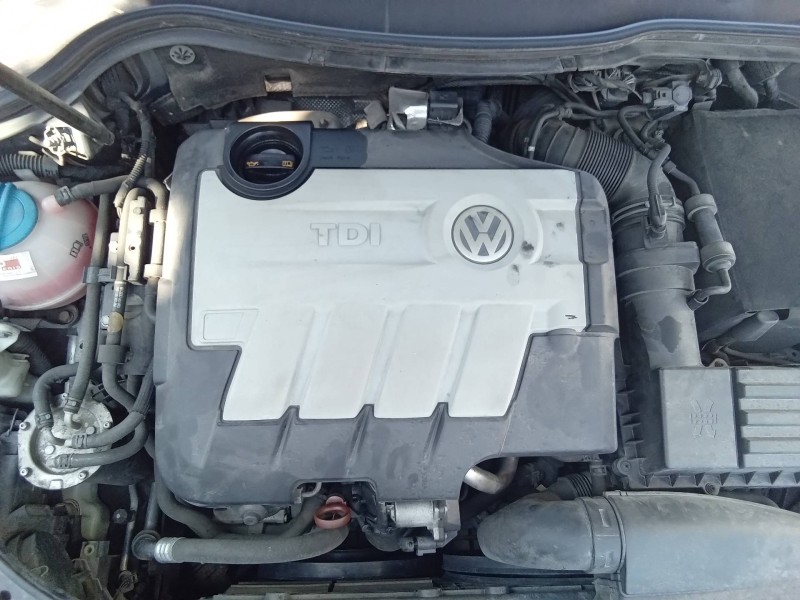 Recambio de tapa motor para volkswagen passat berlina (3c2) advance referencia OEM IAM 03L103925  