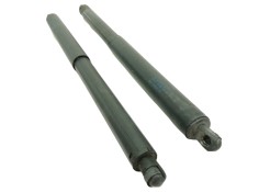 Recambio de amortiguadores maletero / porton para bmw x5 (e70) 3.0d referencia OEM IAM 0256ZP0710N 717728306 5124717728306