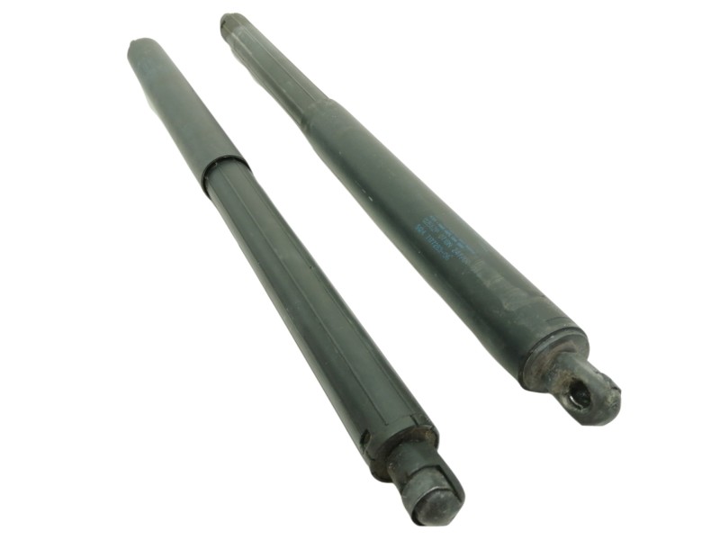 Recambio de amortiguadores maletero / porton para bmw x5 (e70) 3.0d referencia OEM IAM 0256ZP0710N 717728306 5124717728306