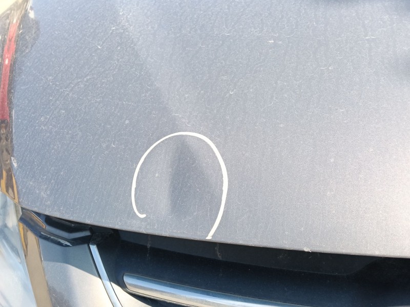 Recambio de capot delantero para ford c-max ii (dxa/cb7, dxa/ceu) 1.0 ecoboost referencia OEM IAM   