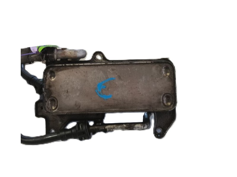 Recambio de enfriador aceite cambio para audi q8 (4mn, 4mt) 50 tdi mild hybrid quattro referencia OEM IAM   