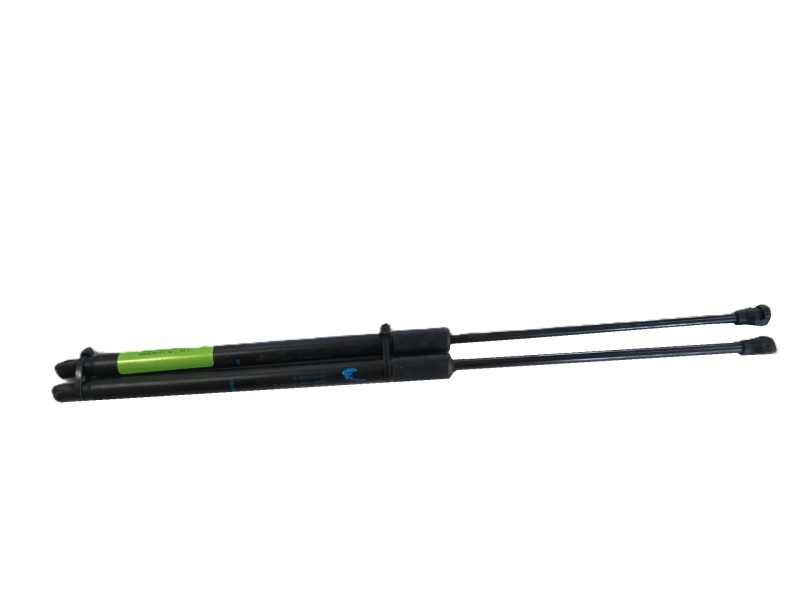 Recambio de amortiguadores capo para lexus nx ii (_a2_, _h2_) 450h+ e-four (aazh26) referencia OEM IAM   