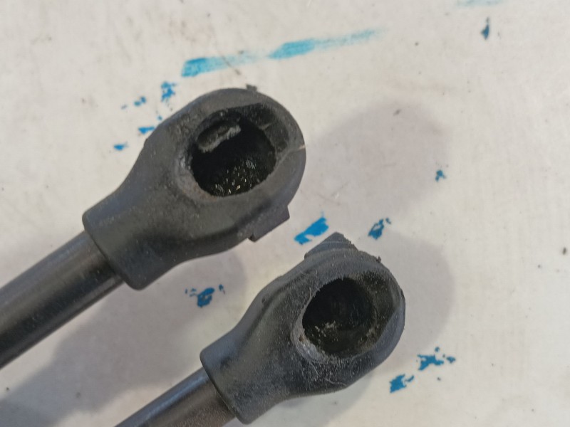 Recambio de amortiguadores capo para lexus nx ii (_a2_, _h2_) 450h+ e-four (aazh26) referencia OEM IAM   