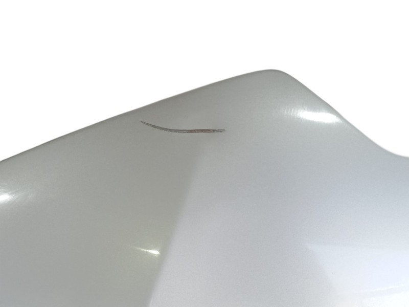 Recambio de capot para renault scénic iv (j9_) 1.2 tce 130 referencia OEM IAM   