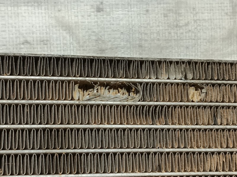 Recambio de radiador agua para citroën jumpy ii furgoneta 2.0 hdi 120 referencia OEM IAM 1330Q7  