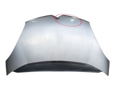 Recambio de capot delantero para citroën c4 picasso i monospace (ud_) 1.6 hdi referencia OEM IAM 7901N7  