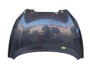 CAPOT DELANTERO 5P0823031C 