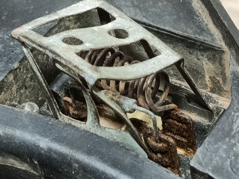 Recambio de electroventilador para ford b-max trend referencia OEM IAM 2125430 8V518C607CK FS1597