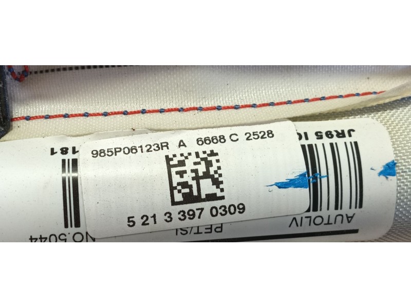 Recambio de airbag cortina delantero derecho para renault scénic iii (jz0/1_) 1.5 dci referencia OEM IAM   