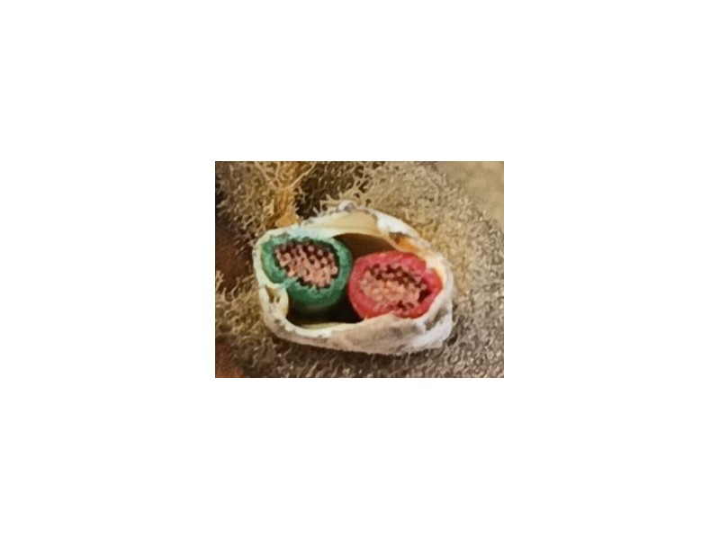 Recambio de elevalunas delantero derecho para toyota yaris (_p1_) 1.0 (scp10_) referencia OEM IAM 6981052020  