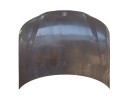 CAPOT DELANTERO 12770109 
