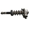Recambio de amortiguador trasero izquierdo para volkswagen touareg (7p5) v6 tdi bluemotion referencia OEM IAM 7P0512301  