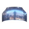 Recambio de capot delantero para ford focus c-max (dm2) 1.6 referencia OEM IAM 1372089  